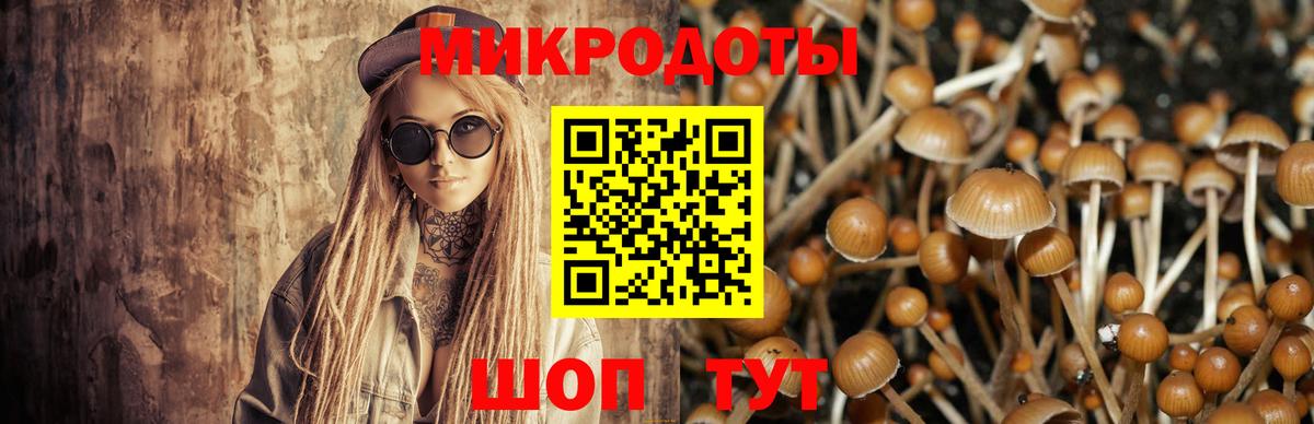 Галлюциногенные грибы Psilocybe Нижнеудинск