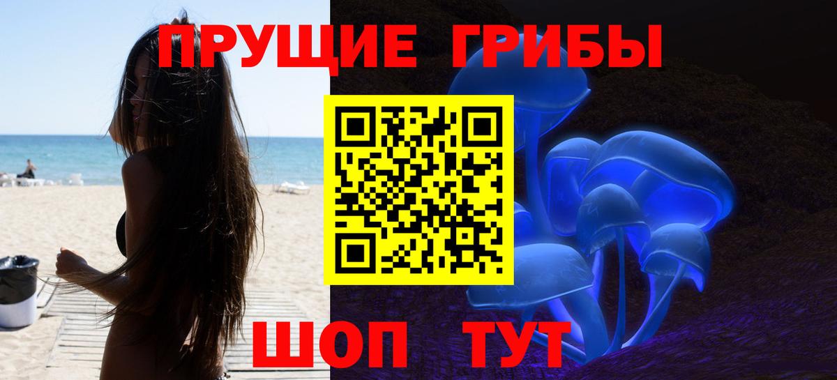 Нижнеудинск  Псилоцибиновые грибы мицелий  Вход с VPN  Галлюциногенные грибы Cubensis 